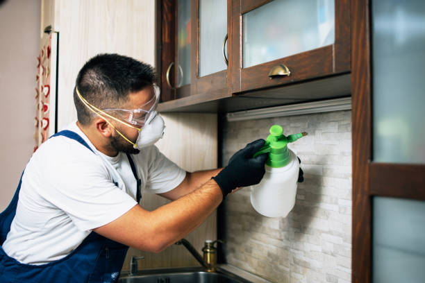 Best Pest Removal Services  in Kahaluu, HI