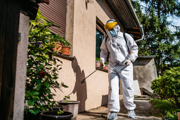 Best Local Pest Control Services  in Kahaluu, HI