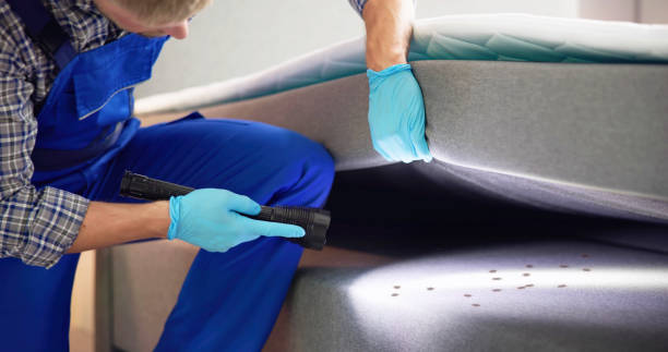 Best Best Pest Control Companies  in Kahaluu, HI