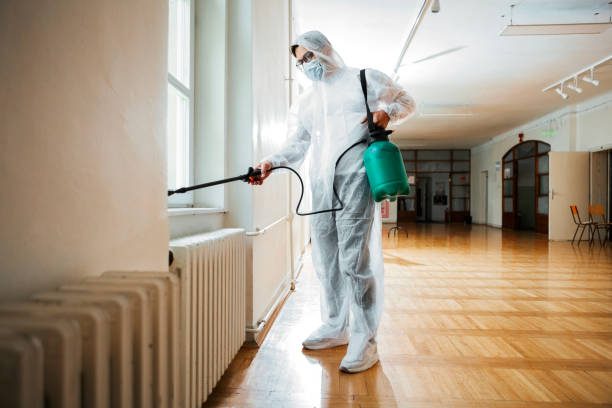 Professional Pest Control in Kahaluu, HI