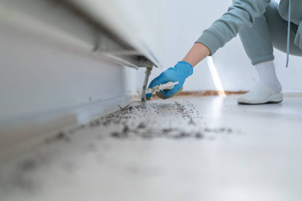 Pest Control for Restaurants in Kahaluu, HI